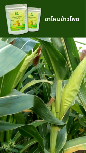 ชาไหมข้าวโพด ตราไร่กฤติยา (Cornsilk Tea)