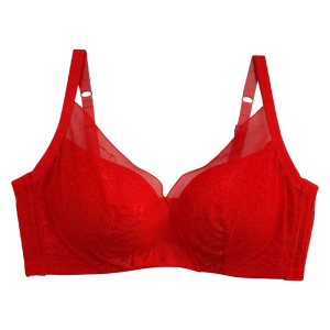 Sorella Push up Adjustable Breast Holding Lift Push up Comfortable Lace No Steel Ring Big Breast Underwear 6346