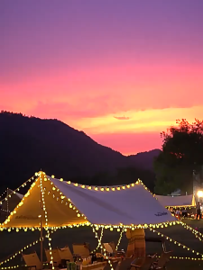 ❤️5M 20LED G50 Round Bulb Fairy lights LED Fairy Twinkle String Lights Outdoor Waterproof Lighting Garland