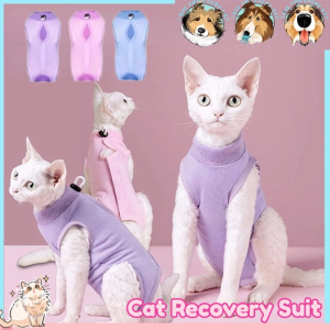 Cat Recovery Suit: A Comprehensive Guide
