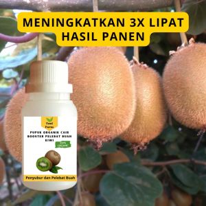 Pupuk Kiwi Cepat Berbuah / Pupuk Pelebat Buah Kiwi / Pupuk Booster Kiwi Cair