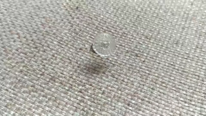 100PCS Bedskirt Pins Stainless Steel Spiral Needle Anti-Slip Anchor Pin Twist Nail For Sofa Cover