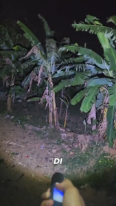 Senter Tangan LED Cas Portable 3000 Lumen Maxpower MX-836