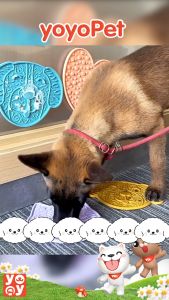 yoyopet : แผ่นซิลิโคน ชามอาหารสัตว์เลี้ยง ลดการกินไว ชามฝึกกินช้า กันมูมมาม สุนัขและแมว