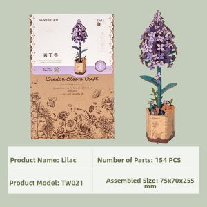 Rolife | Wooden DIY Flower Bouquet Model Birthday Teachers Day Gift