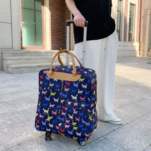 Multi-functional Backpack Trolley Bag Travel Luggage
