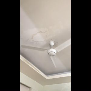 Quạt trần Panasonic 3 cánh F-60FV2 màu trắng thiết kế mới ra mắt năm 2024 điều chỉnh bằng hộp số có thể lắp âm tường.