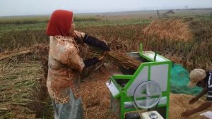 COD - PERONTOK PADI MINIMALIS / POWER THRESHER PALING MURAH - TANPA MESIN PENGGERAK