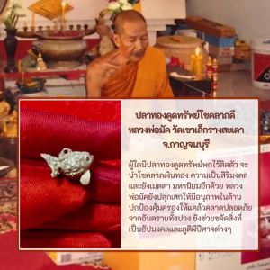 ปลาทองดูดทรัพย์โชคลาภดี หลวงพ่อมัค วัดเขาเล็กรางสะเดา จ.กาญจนบุรี