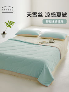 Summer Coolness Silk Ice Cream Freeze Freeze Quilt Childrens Air Conditioner Quilt Machine Washable Watermelon Pattern Lightweight