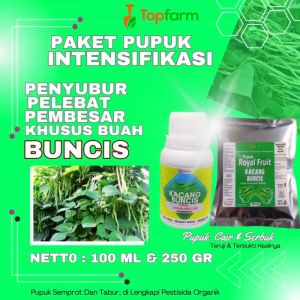 Paket Pupuk Pelebat Buah Buncis & Anti Layu
