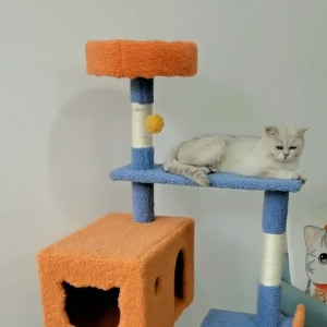 Colorful Large Cat Climbing Frame Wooden Cat Toy Multi-layer Integrated Cat Tree Pet Toy Cat Scratching Post