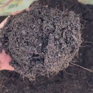 (ส่งฟรี)ดินผสมใบก้ามปูสูตรขี้หมูบด 3 กระสอบ(14.5-15 kg./กระสอบ) ใช้เวลาจัดส่ง 5-7 วัน