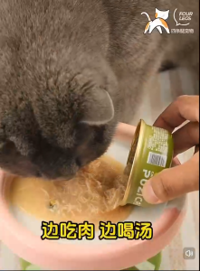 Pet Wet Food Broth PUZI Can Food Complete Nutrition Supports Hydration For Cats & Dogs