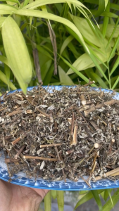 [HOT] Ngải cứu sấy khô 500g - 100% thiên nhiên - hàng sạch thơm giá tốt