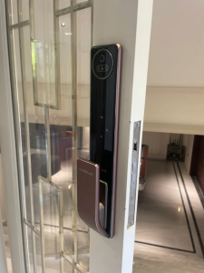Khóa vân tay thông minh Kassler KL-889 face id app wifi chính hãng công nghệ Đức