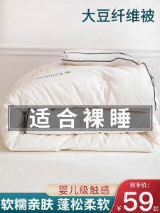 Thickened Soybean Fiber Winter Comforter Queen Size Double-Sided Use Warmth Retention Home Textile Bedding All-Season Quilt