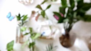 Creative Hanging Hexagonal Glass Vase Wall Mounted Fish Tank Wall Mounted Green Ivy Hydroponic Plant Container Home Decoration