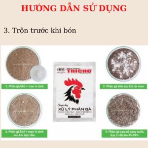 Phân Vi Sinh Vật ĐIỀN TRANG TRICHO XỬ LÝ PHÂN GÀ 100G CHUYÊN DÙNG XỬ LÝ PHÂN GÀ. NHANH HOAI MỤC - SẠCH MẦM BỆNH - GIẢM MÙI - GIẢM RUỒI