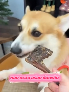 น่องแกะอบแห้ง ขนมขัดฟันสัตว์เลี้ยง ขนมน้องหมา เเพ็ค1/3ชิ้น กรอบ หอม อร่อย