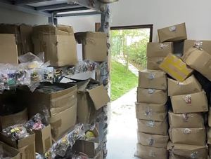 OXO Creative Singapore Landmark Philippines Tourist Attractions Souvenir Parrot Resin Refrigerator Magnet Decoration