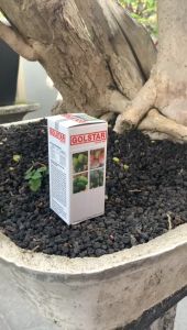 GOLSTAR 250 SC 30 ML PUPUK ZPT VITAMIN BUAH - GOLSTAR 30 ML KECIL