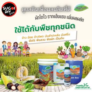 น้ำยาปรับสภาพดิน อัลตร้ากรีน 1 5 10 ลิตร ULTRAGREEN ปูนขาวชนิดน้ำ สารเพิ่มประสิทธิภาพให้กับพืช แก้ปัญหาดินกรด Sugoi Diy