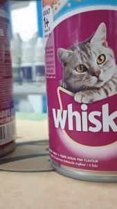 Makanan Kucing Basah Whiskas Kaleng 400gr