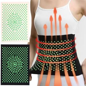 Winter hot🔥Hot Mugwort Therapy Warm Waistband Belts Self-Heating Lower Back Waist Support Belt High Elasticity Lumbar Back Brace