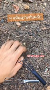 เหล็กขูดเห็ด.ใช้ขูดหาเห็ดเผาะ. ขูดหาเห็ดตามป่าไม้ ใหญ่