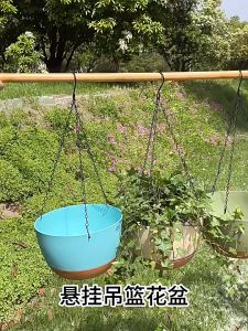 กระถางพลาสติกแบบแขวน พร้อมจานรอง การออกแบบที่สวยงาม กระถางแขวนต้นไม้ ระบายน้ำและระบายอากาศได้