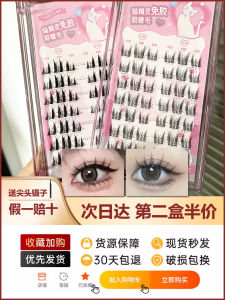 VEECCI Glue-Free Segmented Fake Eyelashes Curling Natural Thick Cat Fairy Easy to Wear And Remove Beauty Tools from China