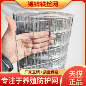 Fence Mesh Mesh Hole Isolation Network Hot Dip Galvanized Iron Wire Mesh Chicken Breeding Dung Leakage Net Fence Net Protective Net