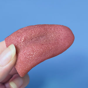 New Magic Tricks Horror Funny False Simulation Tongue Decompression Toy Halloween Prank Children Kids Magic Toy Magic Props