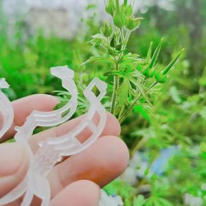 100pcs Garden Plant Clamp Vegetable Fastening Clip Hanging Vine Fixing Clamp Garden Tool