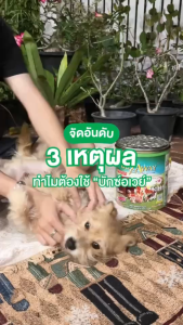 บักซ์อเวย์ 12 ขด (1 กล่อง) รุ่น รีฟิล ไม่มีถาด ยาจุดกันยุง สำหรับสัตว์เลี้ยง