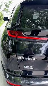 Grease with shock-absorbing brush rust-proof