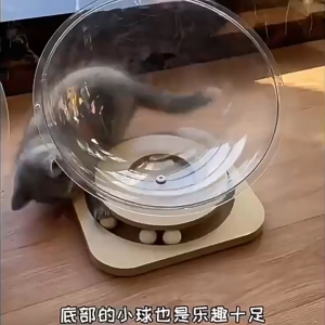 Cat Space Capsule Solid Wood Turntable Toy 2 in1 Acrylic Pet Bed  Funny Cat Play and Sleep Integrated Pet Supplies