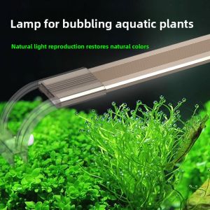 Sunsun | Waterproof High Transparency Aquarium Light