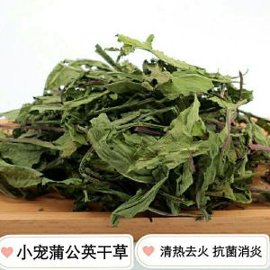 Dried Dandelion Leaf Rabbit Food Guinea Pig Health Care Grass Rabbit Treats Clear Heat Reduce Fire Pet Supplies