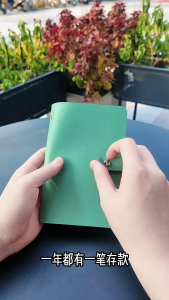 100Pockets Money Saving Organizer Storage Book Saving Wallet Cash Organizer Envelope Leather Cover