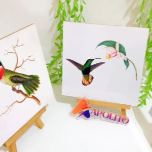 Hiasan Dinding Burung Kayu & Dekorasi Interior