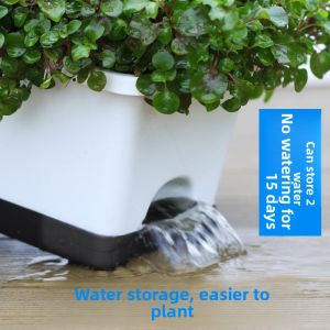 MONLEYTA | Large Rectangular Plastic Flower Pot For Balcony Vegetable Gardening Strawberry Planting Self-Watering Simple Style Green Plant