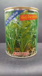 ปลาทอง ผักกาดเขียว ขนาด 80 กรัม หมดอายุ 01/2569 เขียวน้อย งอกดี ต้นใหญ่ ก้านใบยาว เต็ม ใบสีเขียวสด ไม่แตกแขนง น้ำหนักดี ระยะเก็บ 40-45 วัน