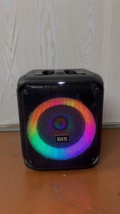 BIS-1739 KARAOKE Bluetooth Outdoor Boomboxes FM Radios Portability Wireless  USB  SD  Rechargeable Speakers Free Wireless Mic