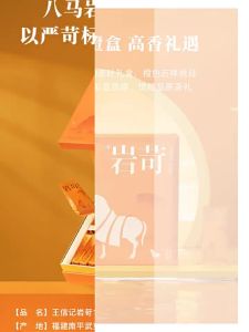 BAMA TEA | High Quality Gift Wuyi Rock Tea