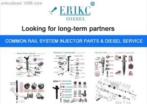 High Performance Fuel Injector: E1021062 & Doctor 110 Series