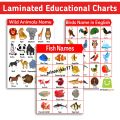 Educational Animals Chart - Laminated A4 Size, Educational Wall Chart. 
