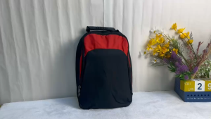 LORA Functional Laptop Bag with Compartment for Work Study Simple and Nice