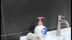 304 Stainless Steel Durable Lavatory Taps & Heavy Duty Faucets